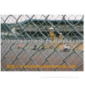 High Quality Chain link fence(manufactory and exporter)